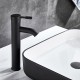 Basin faucet, mixer matt black