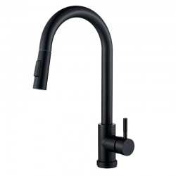 Kitchen tap with removable shower with multifunctional supplier