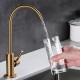 Modern Matt black tap for Reverse Osmosis