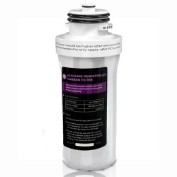 Triple Action Inline Water Post Filter Replacement
