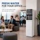 FONPUR Reverse Osmosis Water Dispenser Cold / Natural / Hot Water