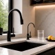 Modern Matt black tap for Reverse Osmosis